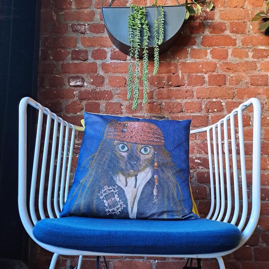 Pet-Friendly City Loft Apartment Cape Town Exterior photo